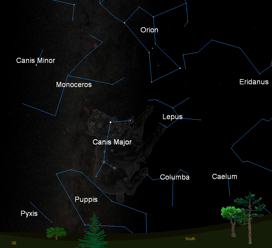 Doggie Constellations are a Skywatcher's Best Friends